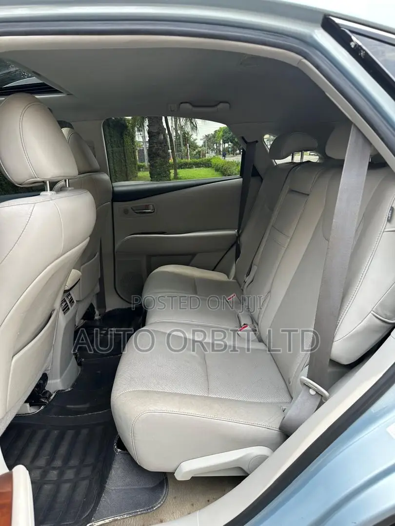 Lexus RX 2010 Blue
