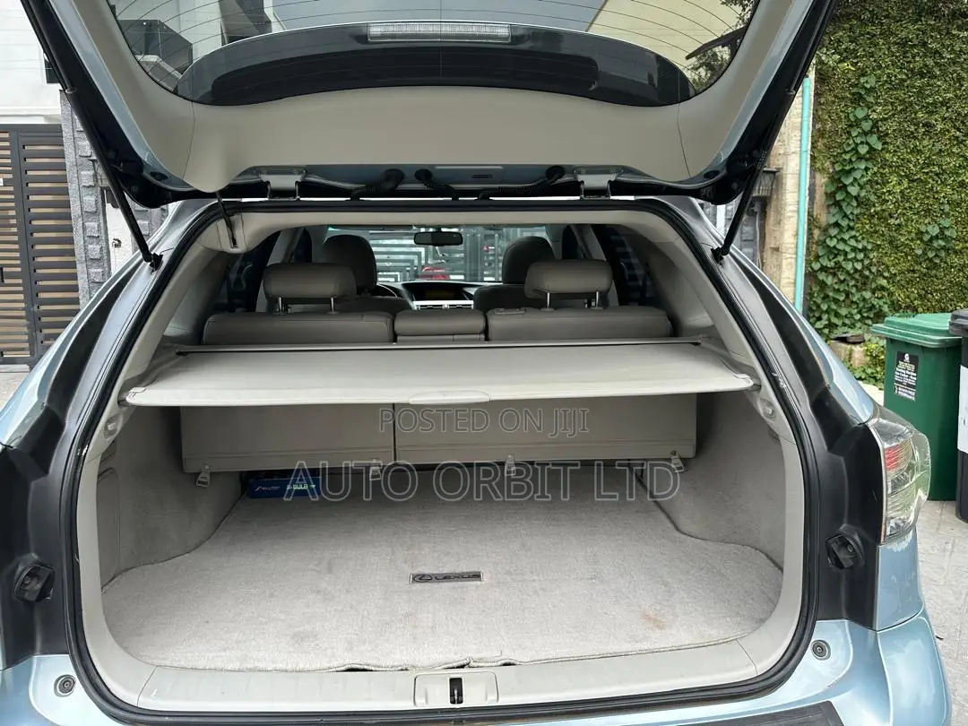 Lexus RX 2010 Blue