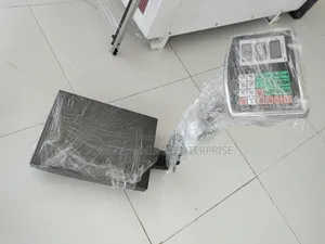 Digital Platform Weighing Scale Gas Weighing Scale