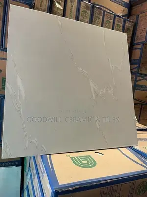 Goodwill Gray Glossy Porcelain 60x60cm