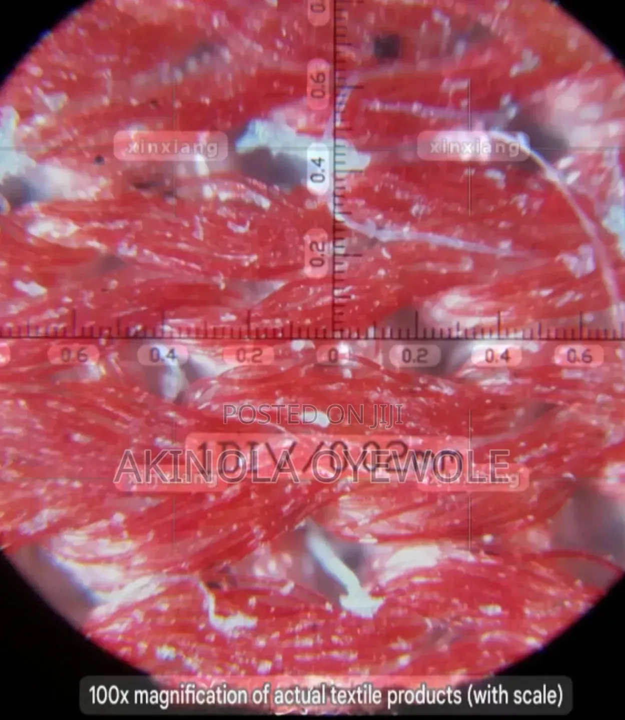 Microscope 100x With Internal Ruler