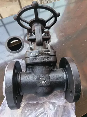 Industrial Forged Steel Gate Valve