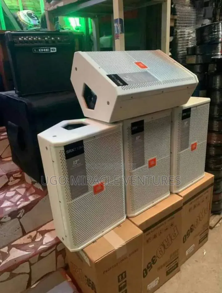 12" Party Speaker