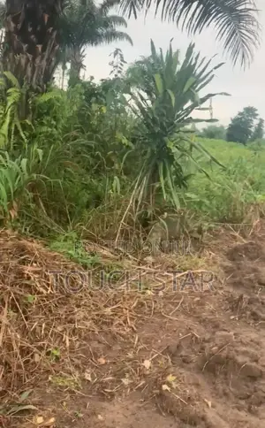 Full 1 Plot of Land 100/50 for Sell