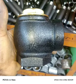 Angle Check Valve