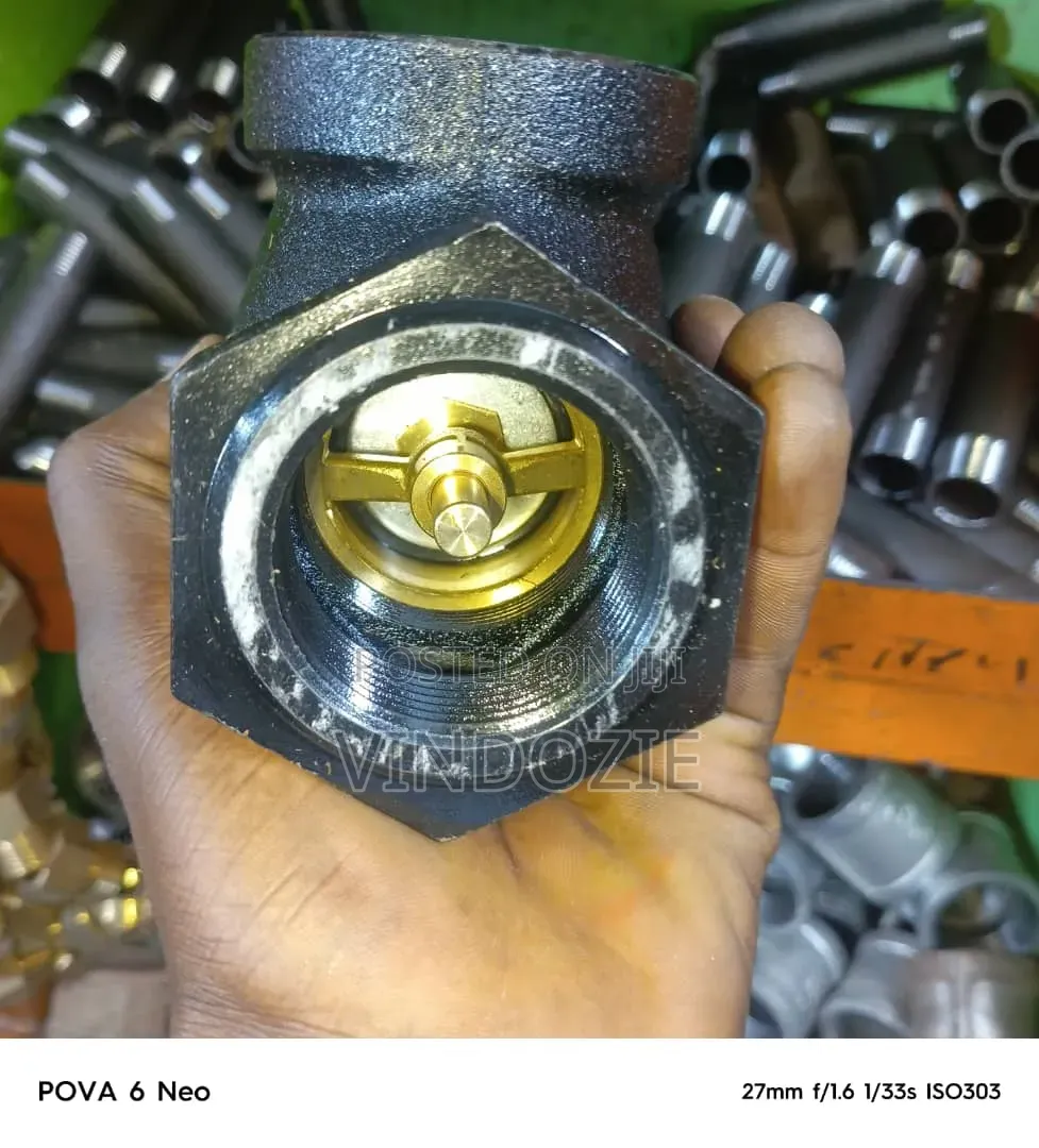 Angle Check Valve