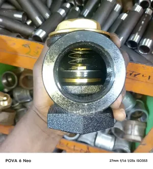 Angle Check Valve