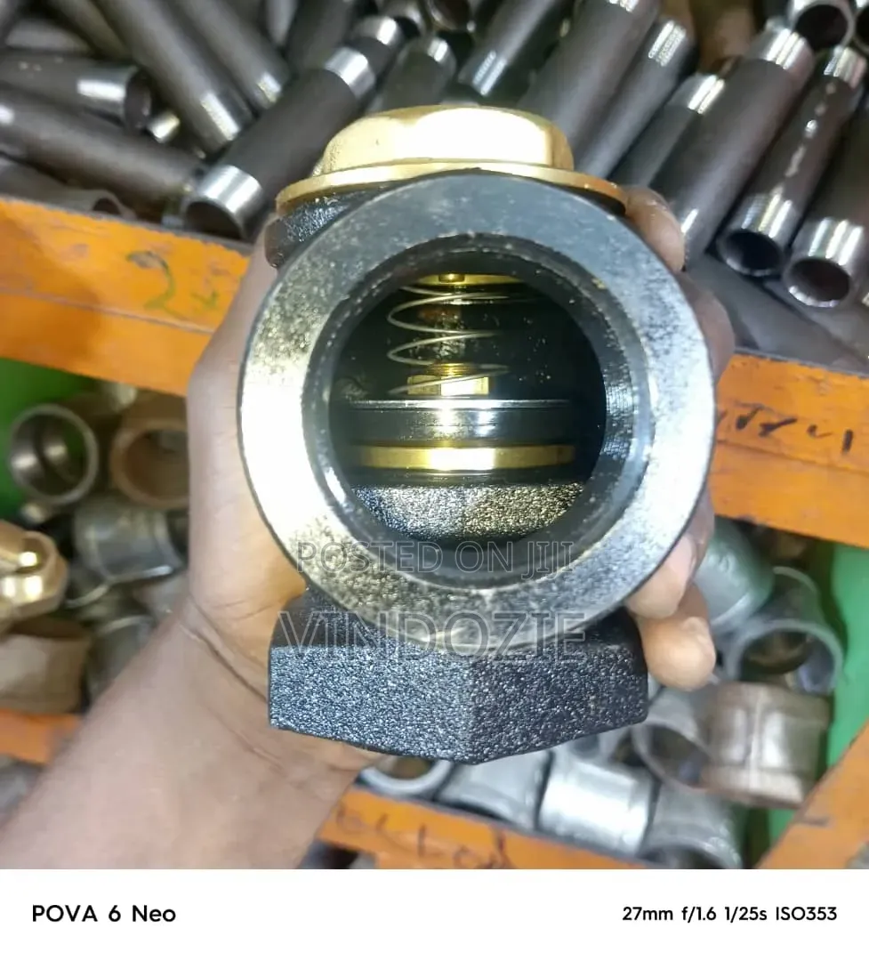 Angle Check Valve