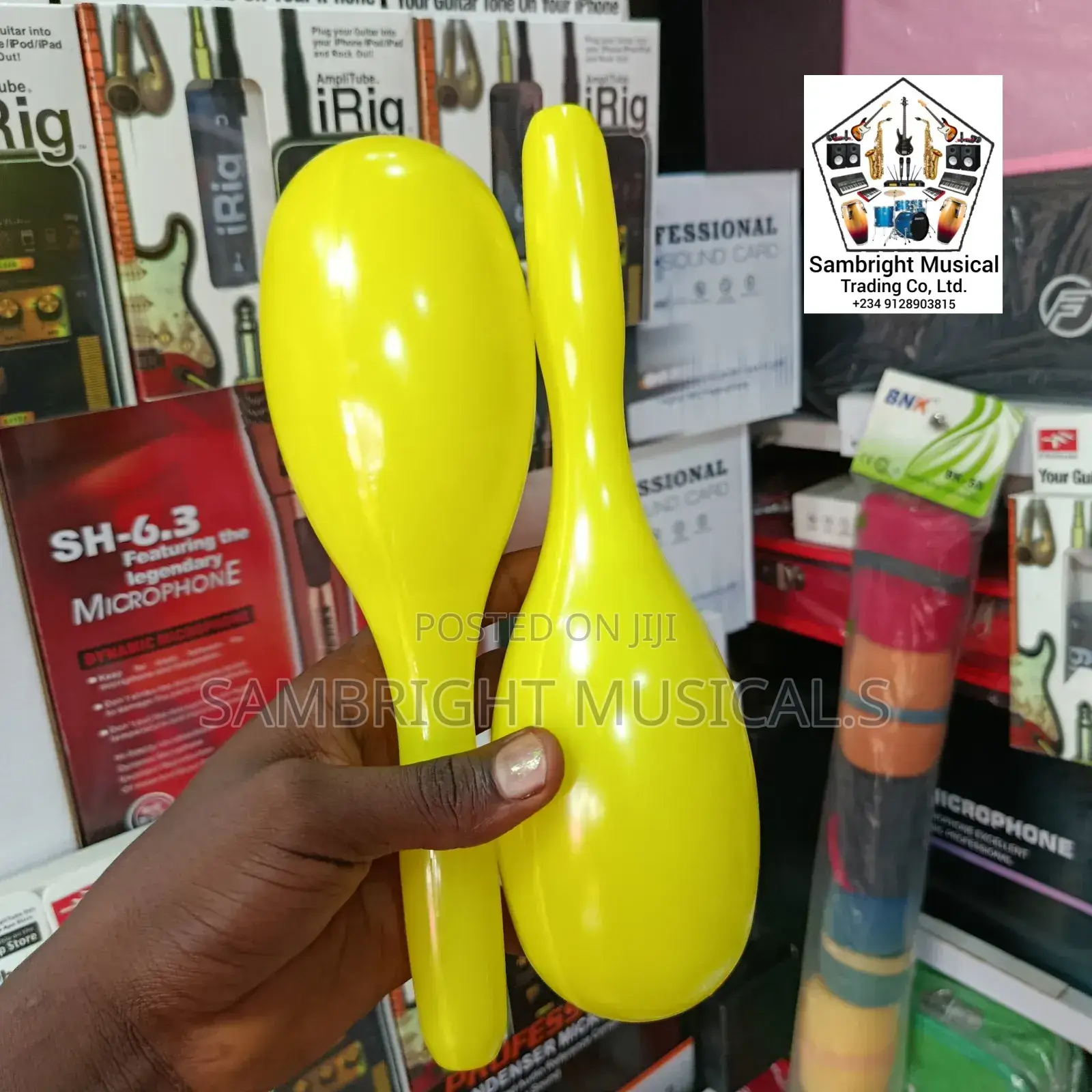 Original Plastic Maracas in Different Colors