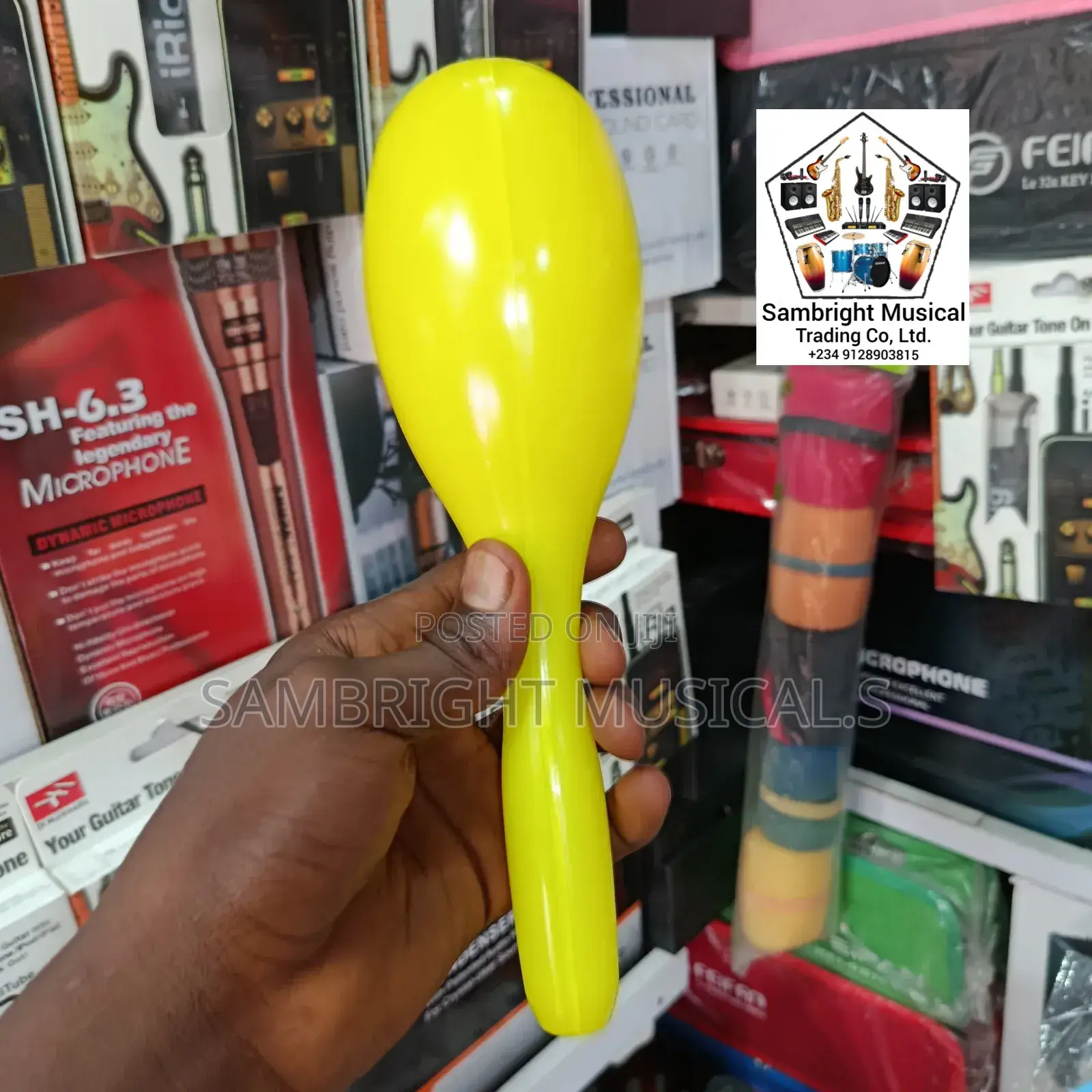 Original Plastic Maracas in Different Colors