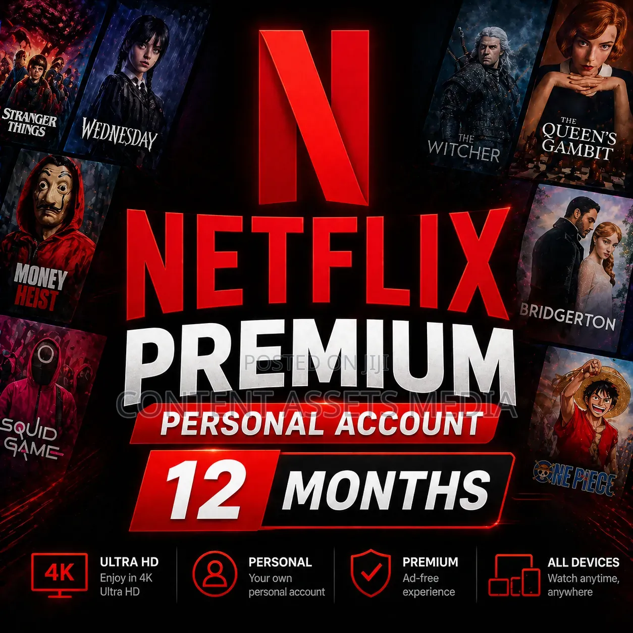 Netflix Premium Private Account (12 Months)