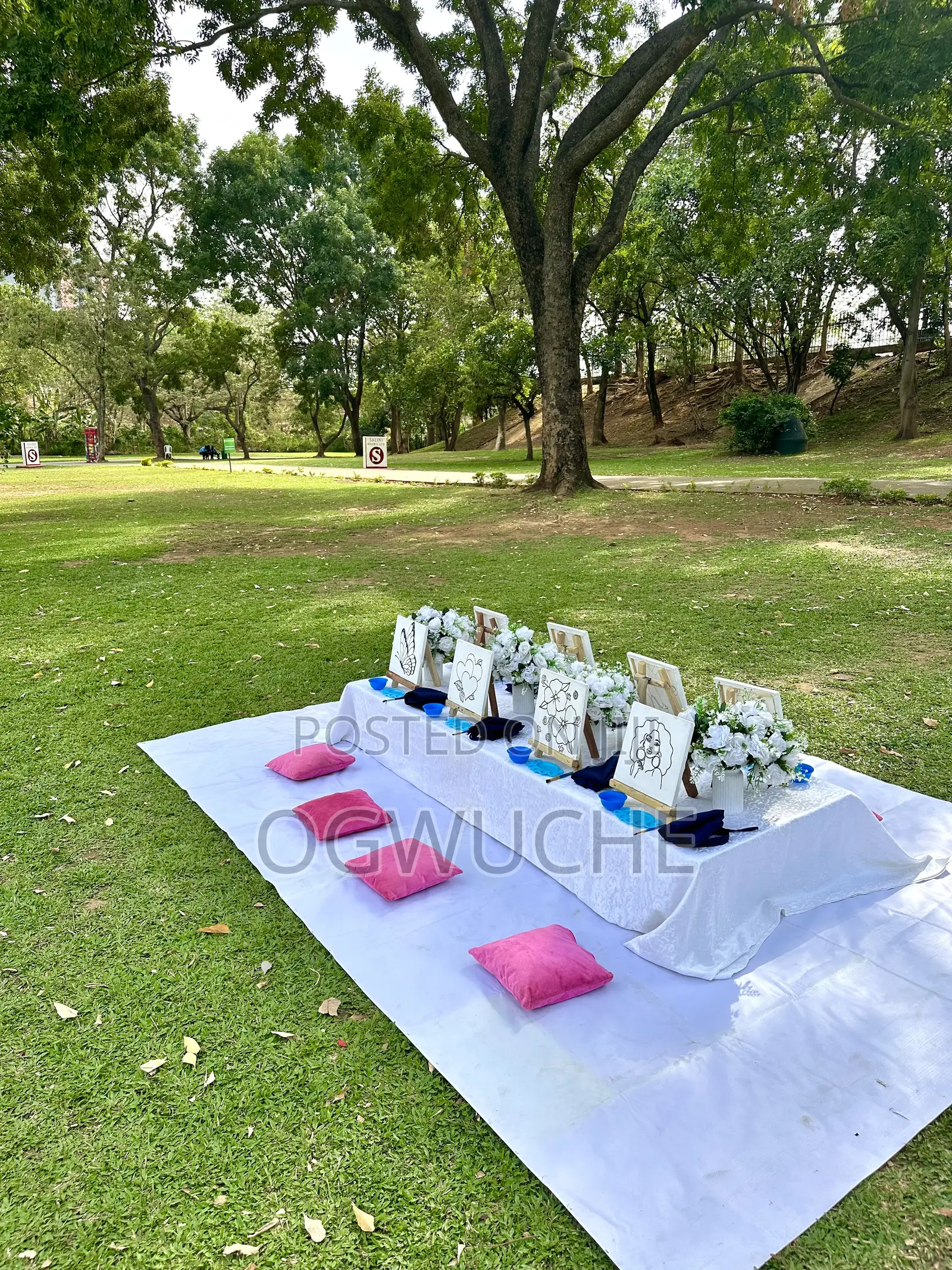Surprise Brithday Packages