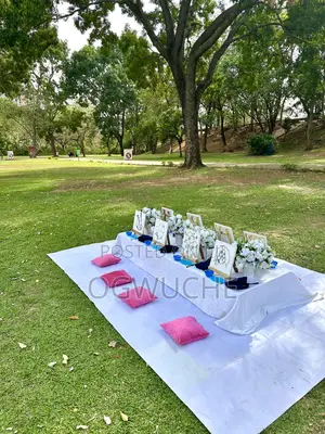 Surprise Brithday Packages