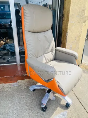 Executive Director Ergonomic Chair