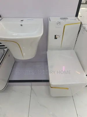 White and Gold Line Toilet Seat With Hanging Basin