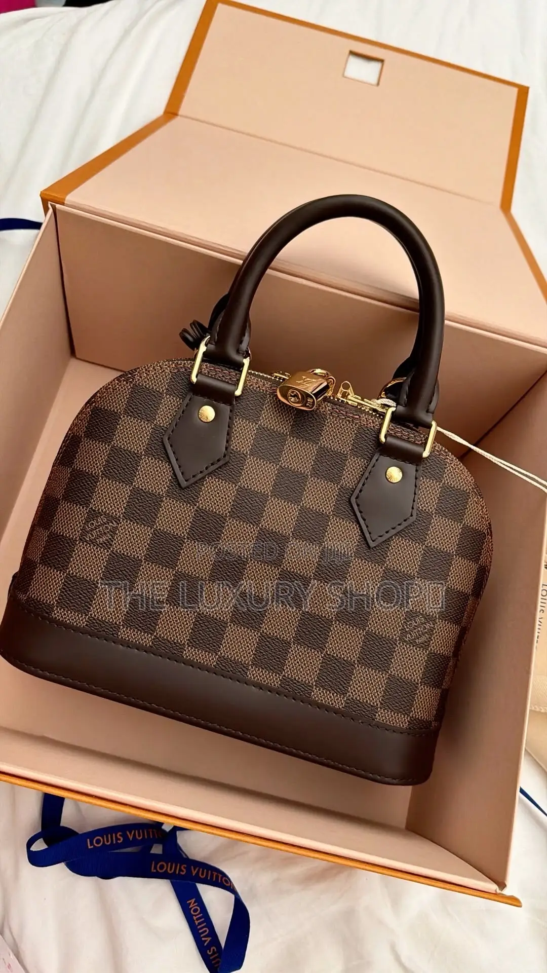 Louis Vuitton Bag