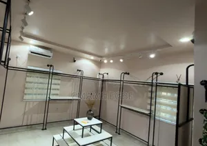 Six Mounted Clothing Racks, Display Shelves and Full Length Mirror