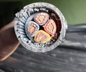 Armored Cable Coleman