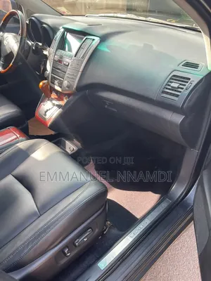 Lexus RX 330 2006 Gray