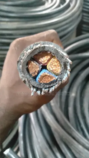 Armored Cable Coleman