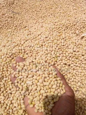 Bag of Soyabean