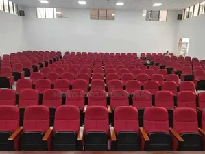 Auditorium Chairs on Different Colors