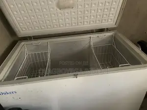 420 Litre Freezer