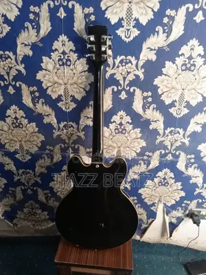 Semi Acoustic Guitar