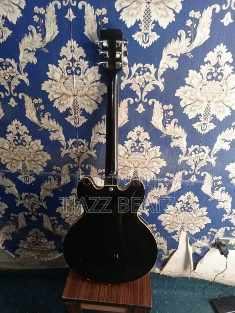 Semi Acoustic Guitar