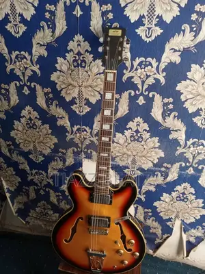Semi Acoustic Guitar