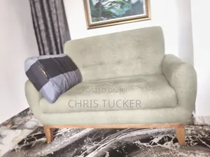 Fibre Two Seaters Comfortable Home Chair
