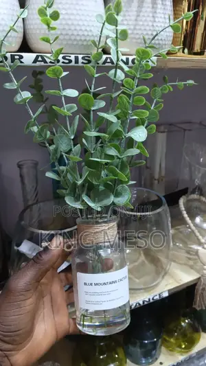 Transparent Vase and Flower
