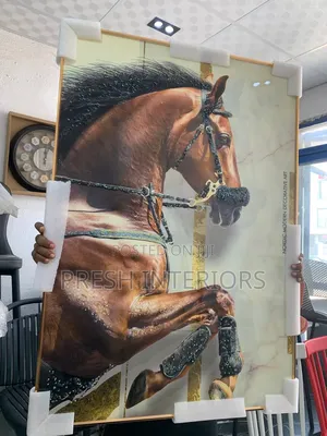 70 by 100 Unbreakable Acrylic Frames