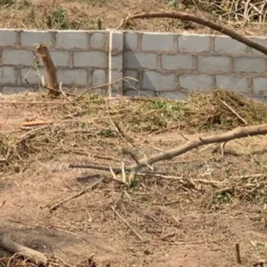 Land Available at Lekki Epe Expressway