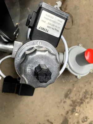 Fs20 Riello Burner