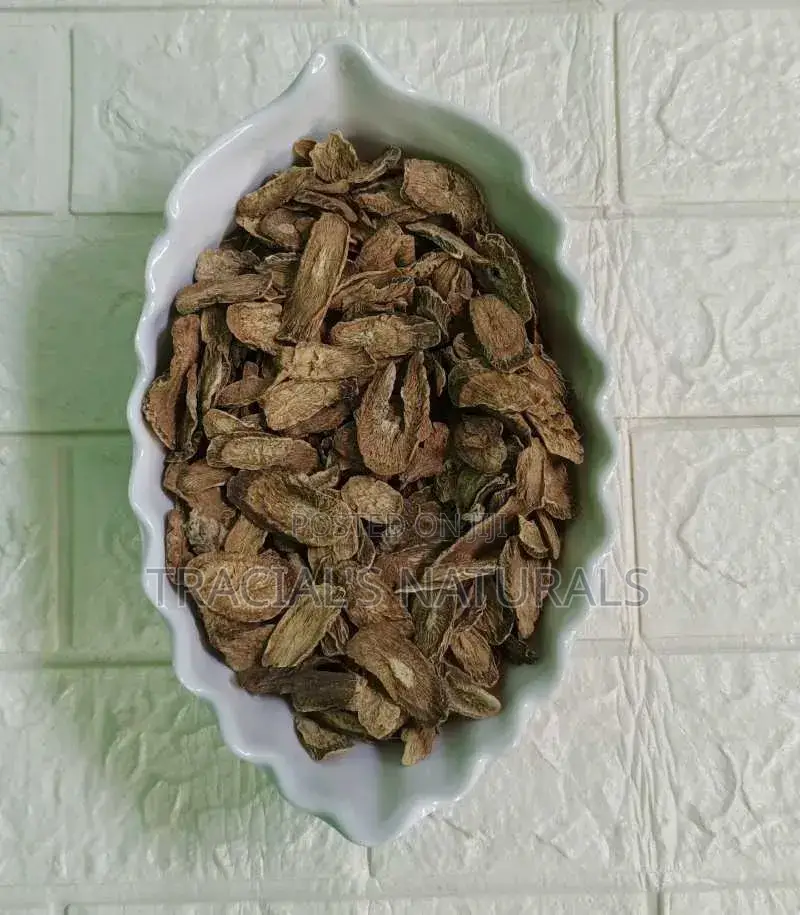Burdock Root Slice
