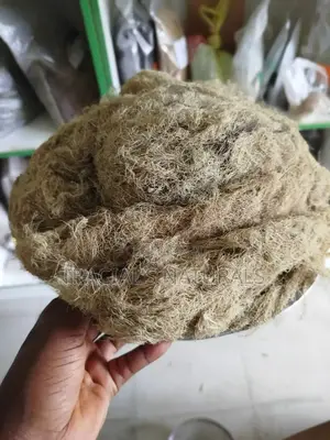 Usnea Herb 100g