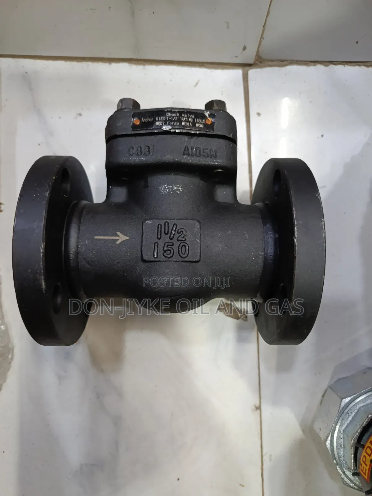 Industrial Check Valve
