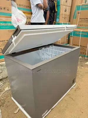 Hisense Freezer Model 390 Shinv .