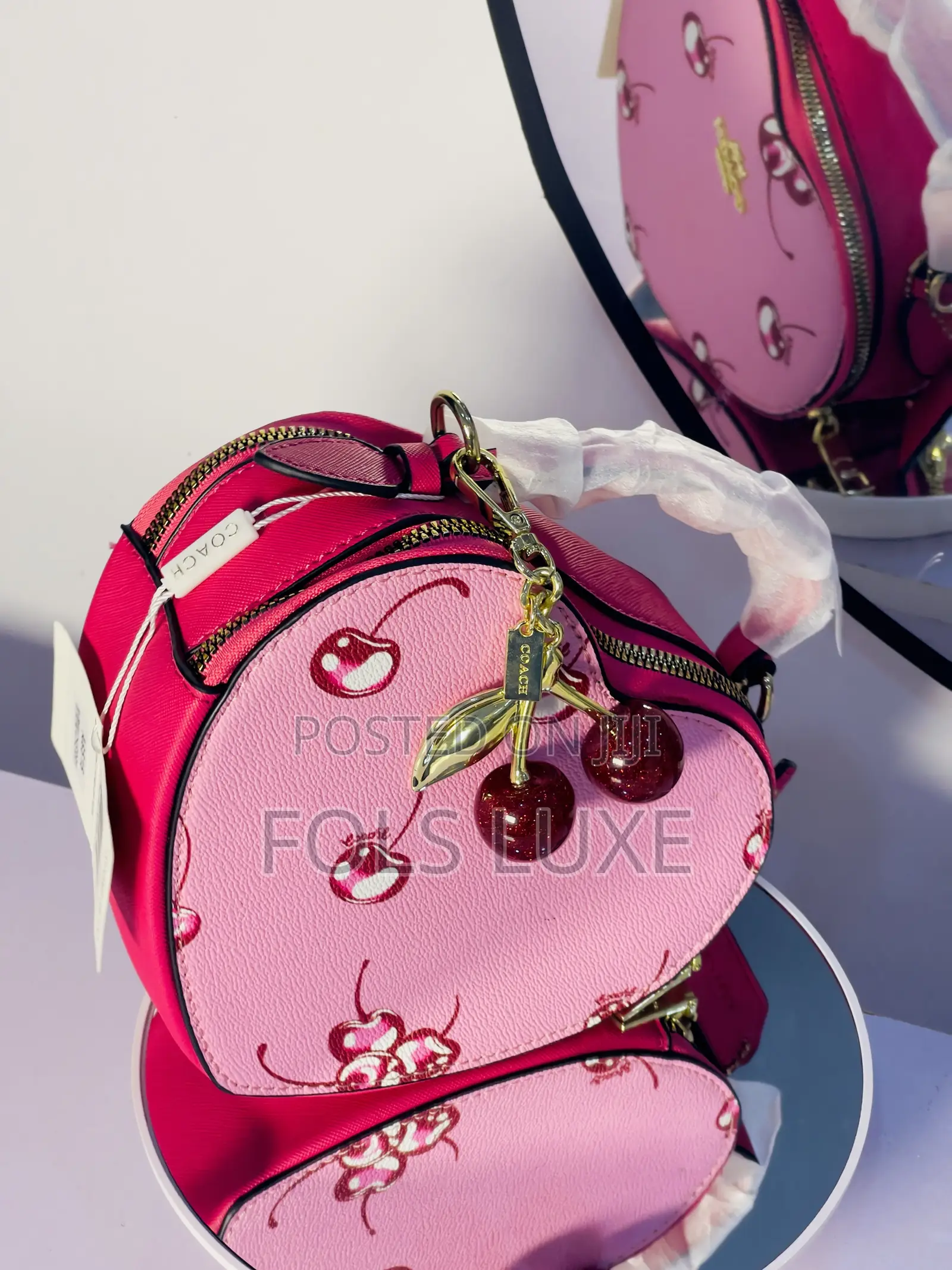 Coach Classy Bag