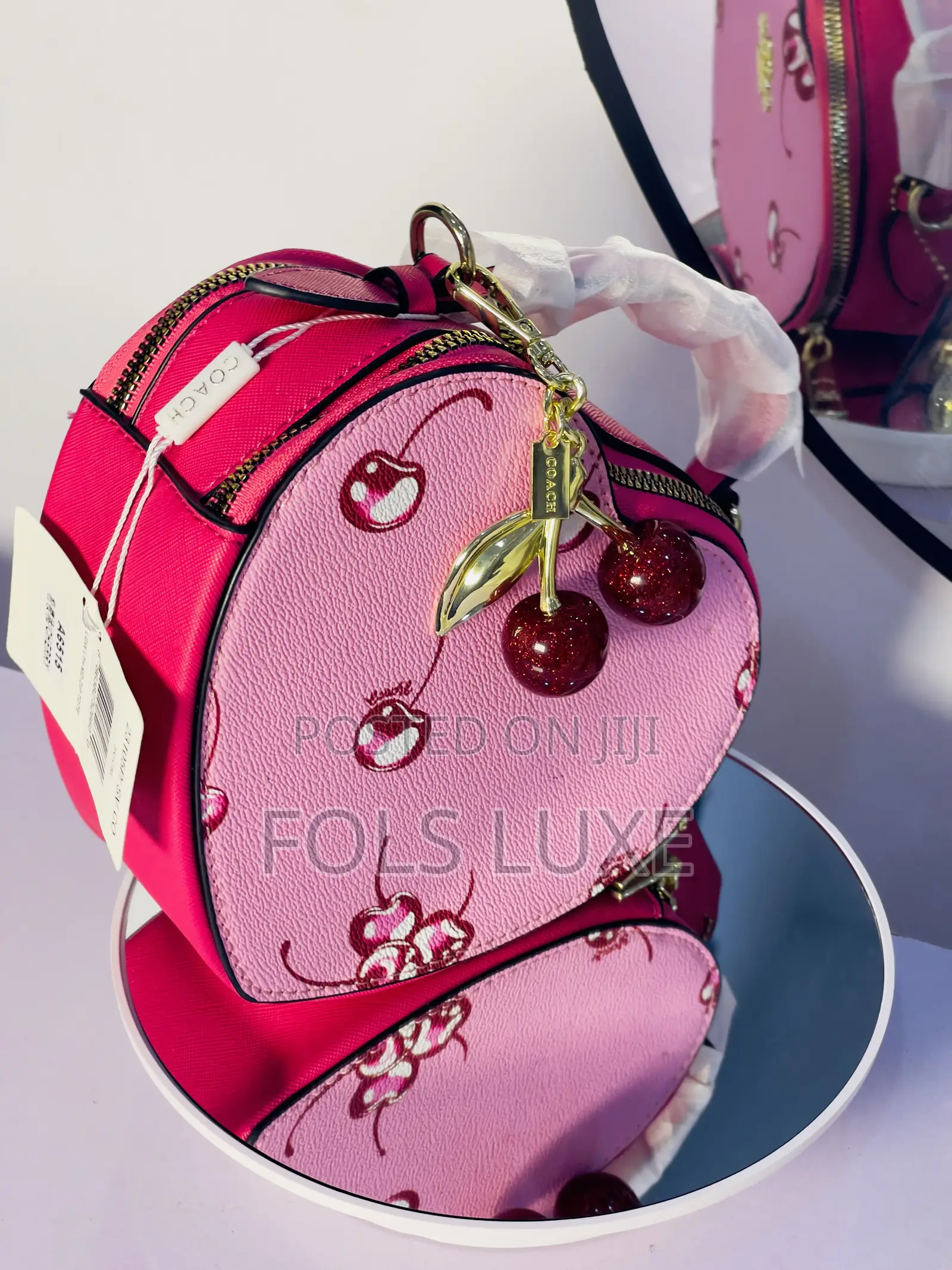 Coach Classy Bag