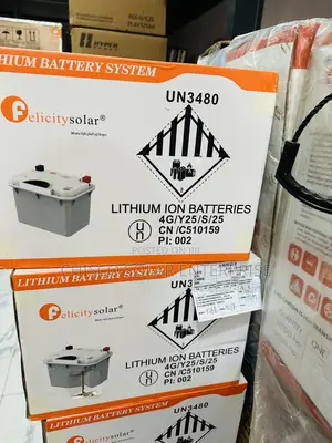 1.2kwh 12v Felicity Lithium Battery