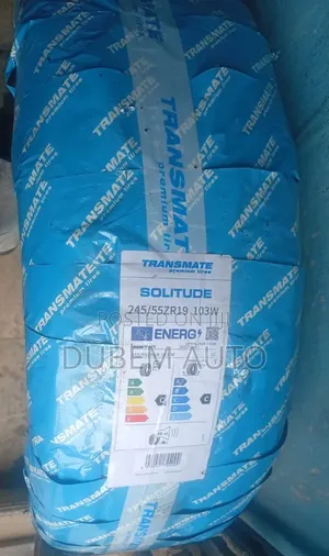 245/55r19 Transmate Tire
