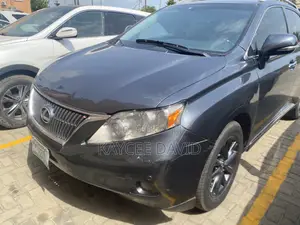 Lexus RX 350 2010 Gray