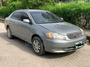 Toyota Corolla 2004 Gray