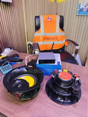2pcs 200w in Ceiling Speakers With A50+ Arylic Network Amplifier