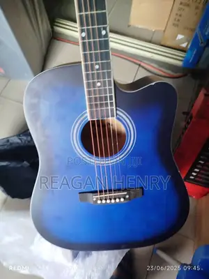 Semi Acoustic Guitar