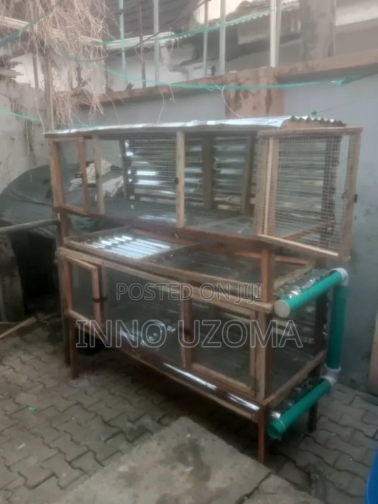 Professional Carpenter Works