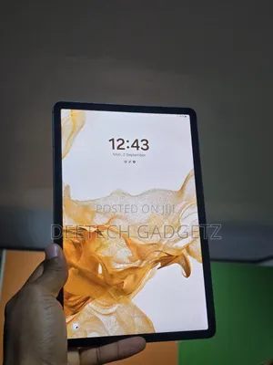 Samsung Galaxy Tab S8 128 GB Gray