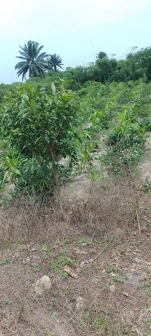 300 Plots for Sale at the Major Road